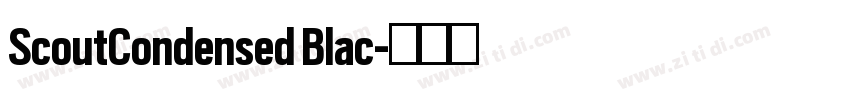 ScoutCondensed Blac字体转换